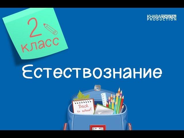 Естествознание. 2 класс. Как живут планеты /27.01.2021/