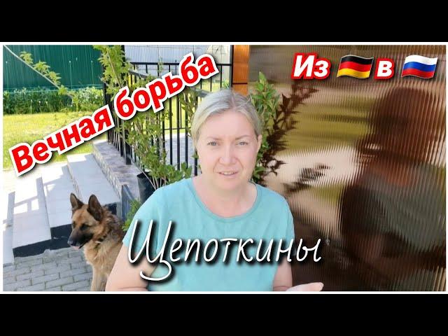 РАЗОЗЛИЛАСЬ... Съездила в питомник за растишками/ Будни Щепоткиных/ Из Германии в Россию