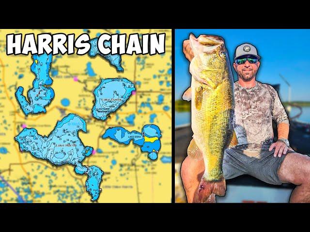 HARRIS CHAIN FISHING REPORT 2024 (What's happening on the Harris Chain of Lakes? SPAWN!)