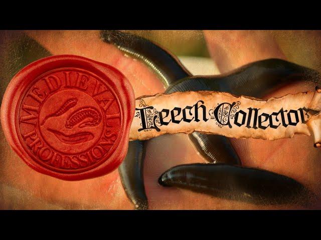 What Were Leeches Used For and How Were They Caught?  [Medieval Professions: Leech Collector]