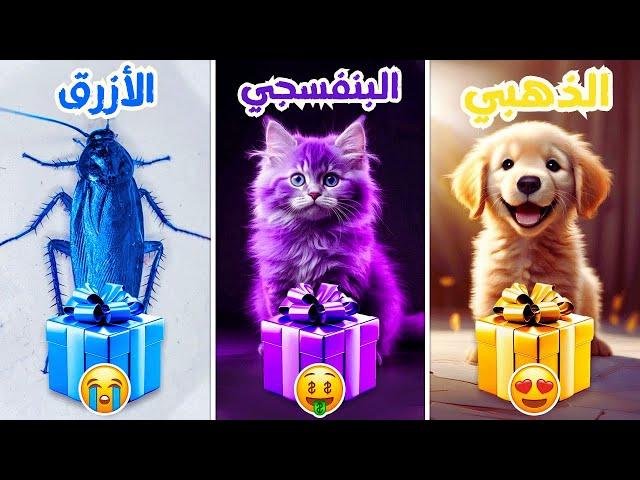 اختر هدية واحدة...! الذهبي أو البنفسجي أو الأزرق ⭐️