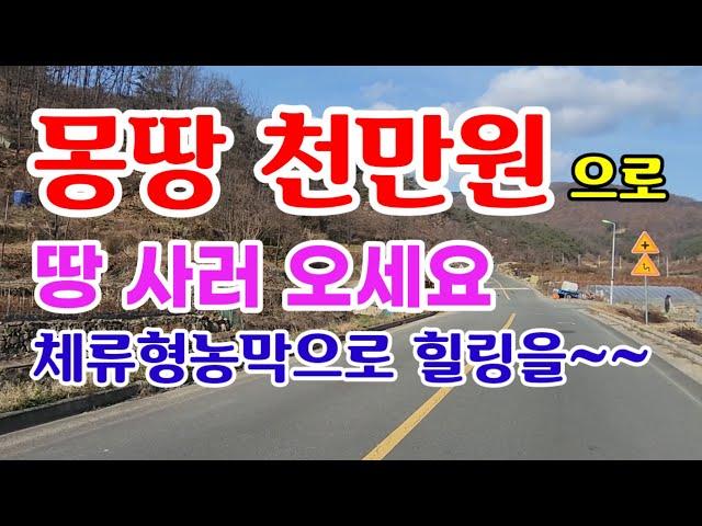 [매372]의성군안평면102평 몽땅천만원으로 내 땅 사서 쉼터하세요 의성땅매매 의성부동산