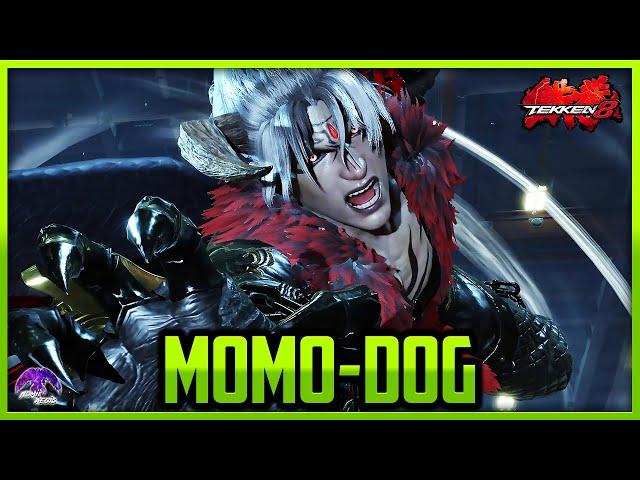 T8 Season 2 ▰ MomoDog Beast Mode Devil Jin !【Tekken 8 High Level Gameplay】