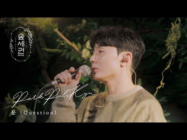 박필규 (Park Pil Kyu) - 문 (Question)ㅣ숲세권 라이브ㅣFor Rest LIVE