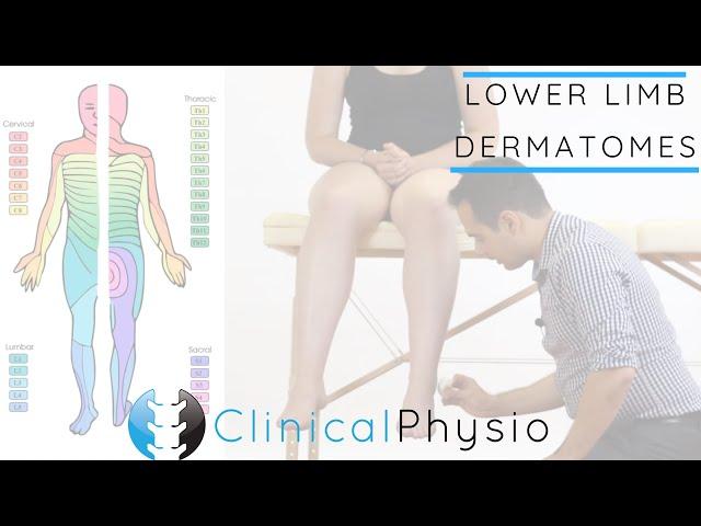 Lower Limb Dermatomes | Clinical Physio