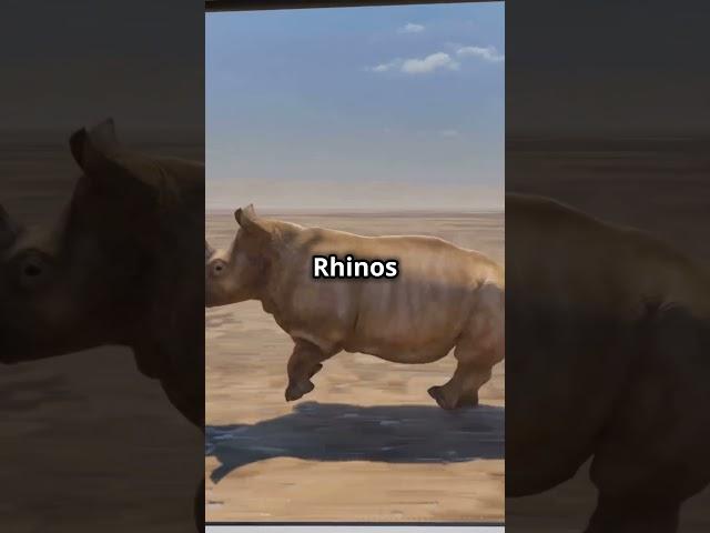 Rhino vs Hippo: Who Wins?