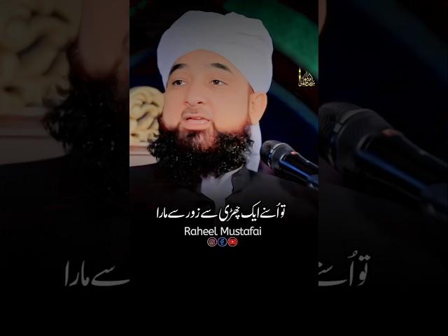 Sheikh Saadi Ki Hikayat | Raza Saqib Mustafai | #shorts