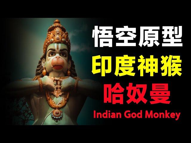 西游记孙悟空的原型！印度神猴哈奴曼实力有多强？How strong is Hanuman, the Indian God Monkey?