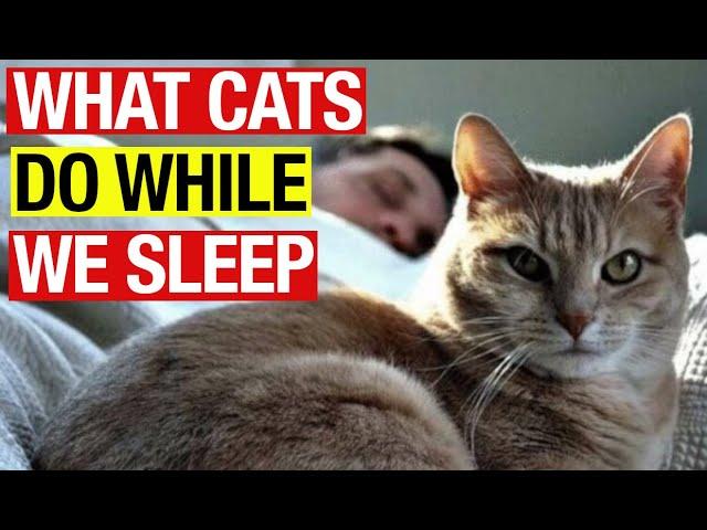 WEIRDEST Behaviors of YOUR CAT When YOU Sleep