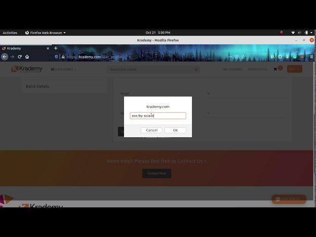 STORED XSS BUG POC ON KRADEMY.COM