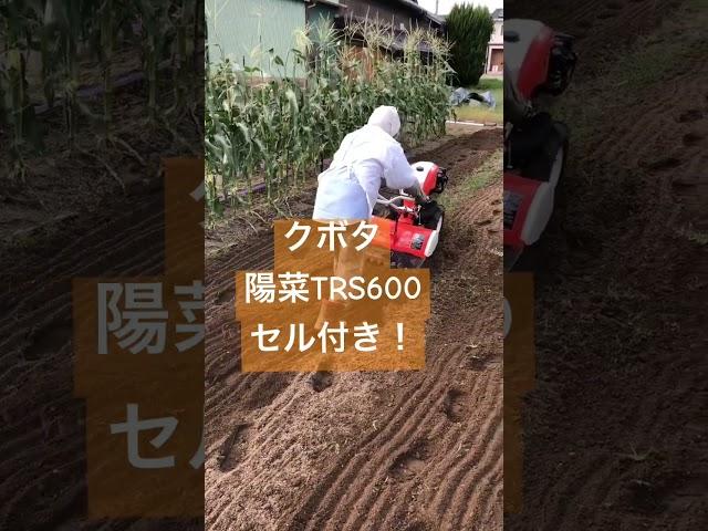 押すだけスタート！耕運機　クボタTRS600 #耕運機　#家庭菜園　#クボタ