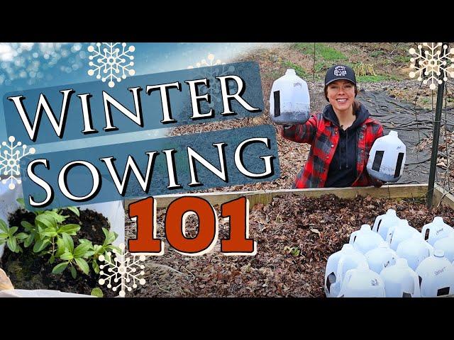 How to Winter Sow Seed