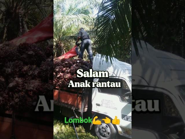 salam anak rantau