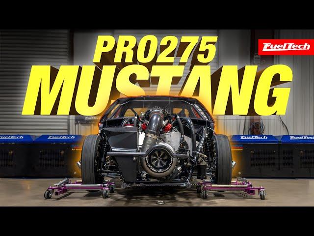 Pro 275 Mustang on our Hub Dyno | Nick Lacerenza