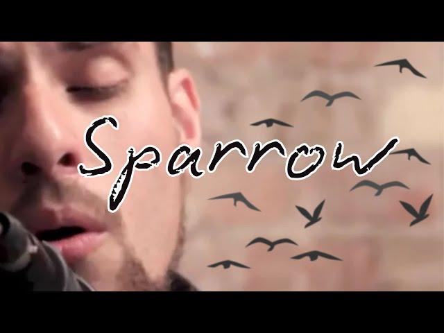 "Sparrow" Live performance by Jeff Jacobs