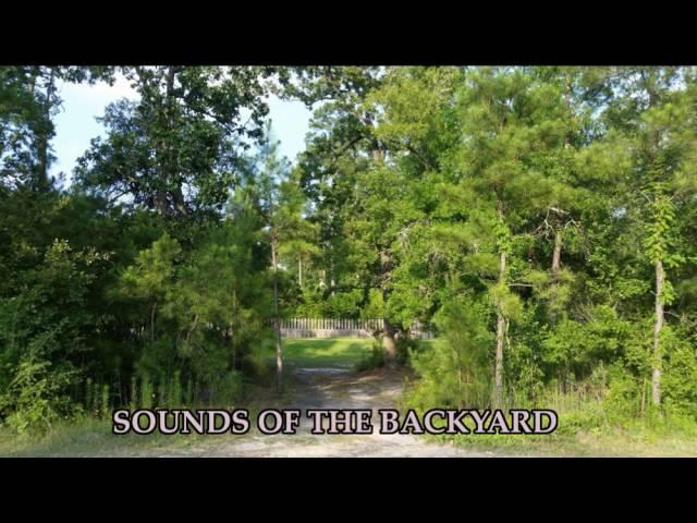 Backyard Sounds