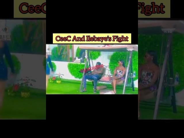 BBNaija All Stars: CeeC and Ilebaye's Fight Last Night | BBNaija | Big Brother Naija All Stars