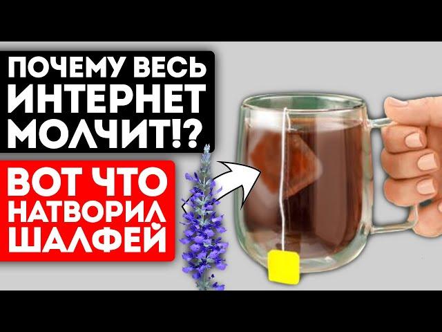 99% людей даже не догадываются, что творит шалфей с нашим телом