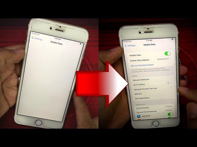 How to Fix Mobile Data Blank on iPhone | iPhone Mobile Data Not Working