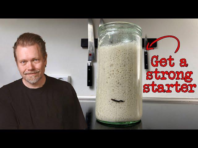 My five best sourdough starter tips for beginners  | Foodgeek Baking