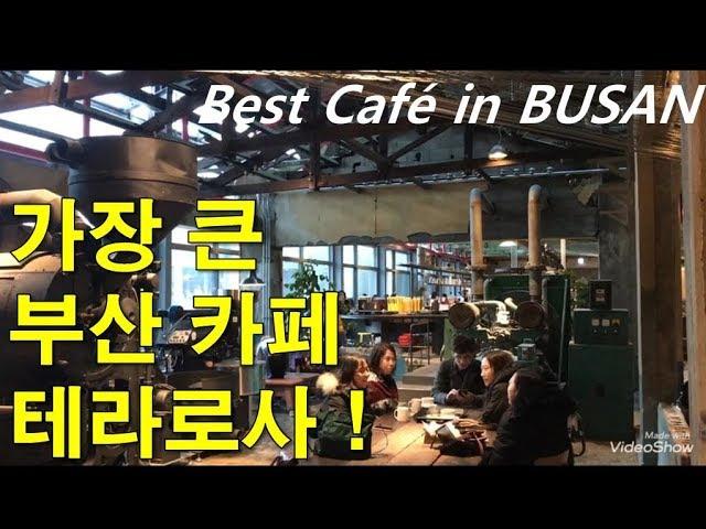 부산에서 가장 큰 카페 ! 코스트코 F1963 테라로사 ! Best Cafe in Korea Busan !