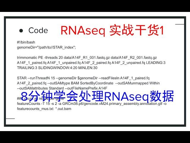 RNAseq分析干货1