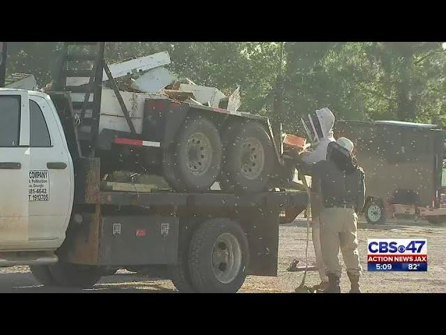 Truck carrying 5 million bees involved in Florida crash | Action News Jax