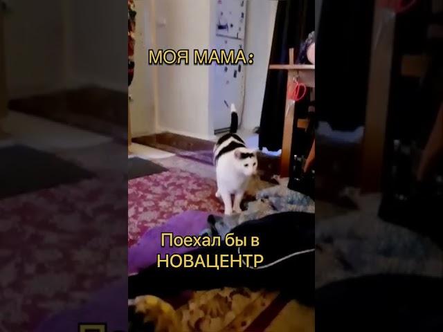 Когда не можешь найти все необходимое для ремонта