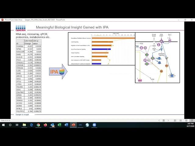 How To Do Pathway Analysis The Right Way using IPA