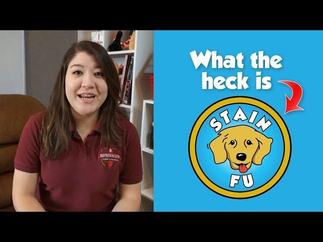 What the heck is Stain Fu? Watch this first!