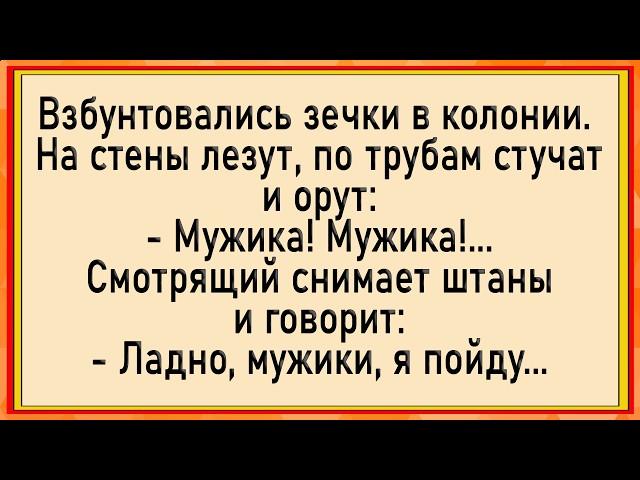 Как зечки оседлали смотрящего! Сборник свежих анекдотов! Юмор!