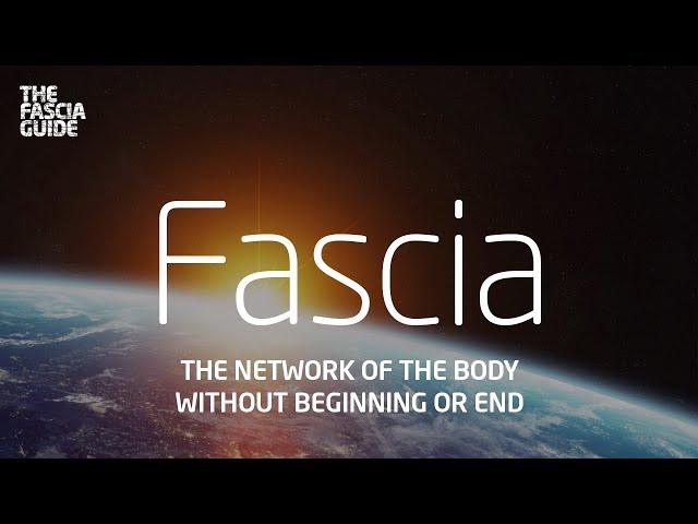 Fascia Documentary: The network of the body without beginning or end