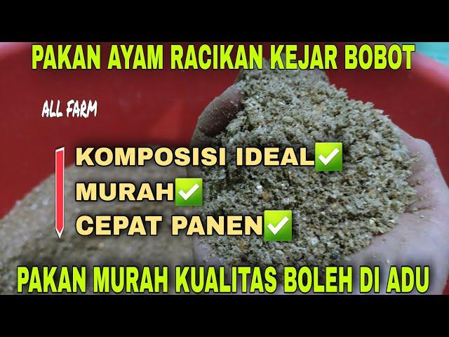 Pakan Ayam Murah Kejar Bobot || Versi I