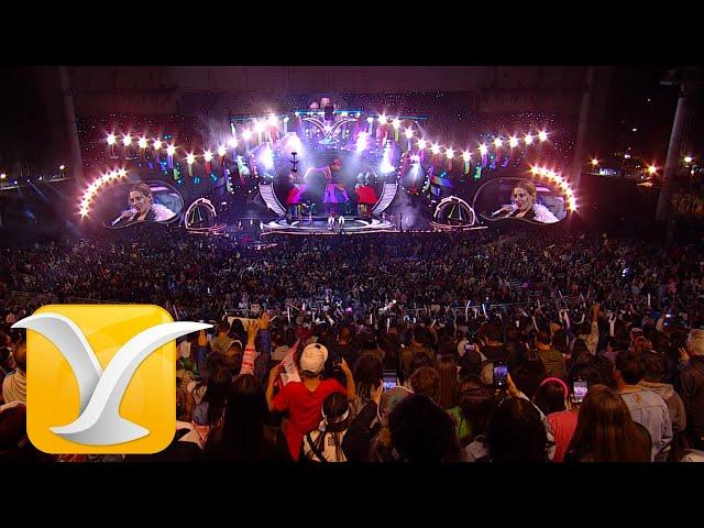 Miranda! - Don - Festival Internacional de la Canción de Viña del Mar 2024 - Full HD 1080p
