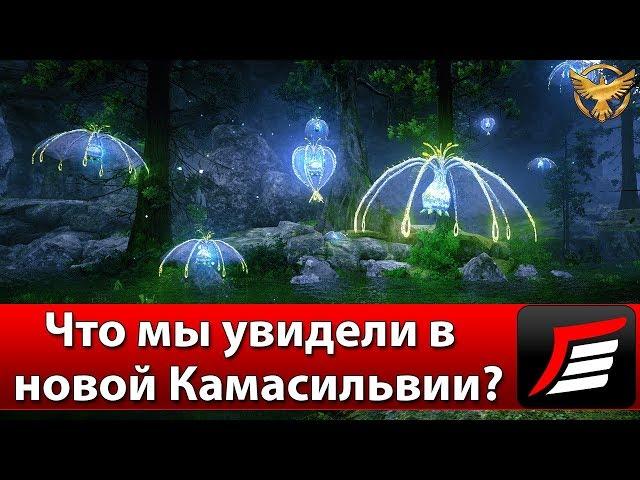 Black Desert – Подробно разбираем вторую часть Камасильвии | Гайды Black Desert