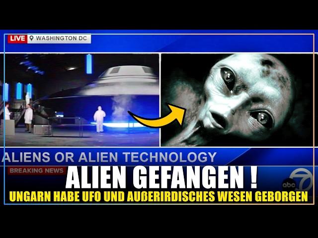 Ungarn hat einen lebenden Alien und sein UFO geborgen… Was wissen wir darüber?