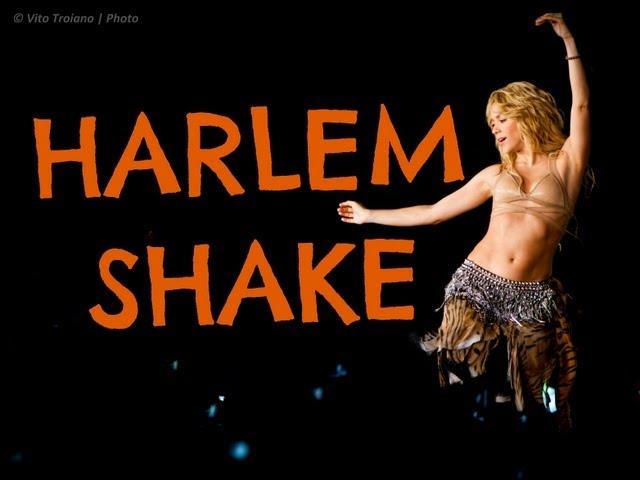 Shakira Harlem Shake (original)