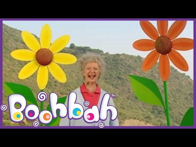 Boohbah - Flowers & Vase | Episode 33