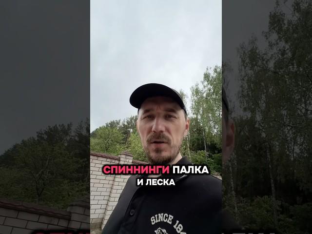 Палка #блог #блогер #будни #юмор #деревнявнутримегаполиса