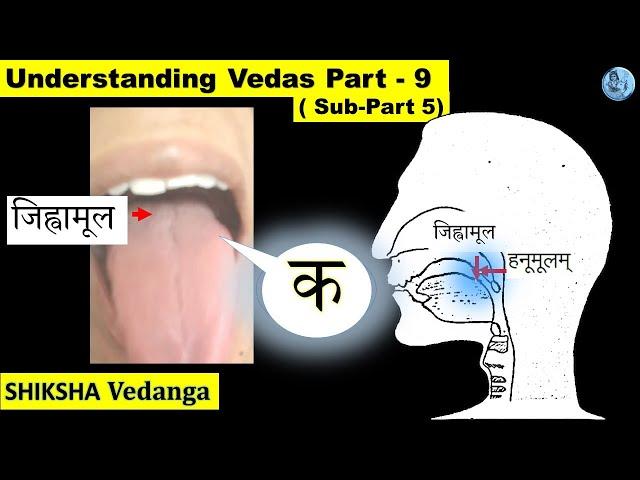 Pronunciation place of क वर्ण | Jihvamul & hanumula meaning | ( Practical demonstration )