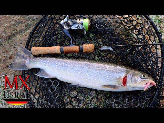 Saiblinge im Überfluss!/ Ein Einblick in die Primedays/ Forellen fischen mit Kunstködern/ Trout Area