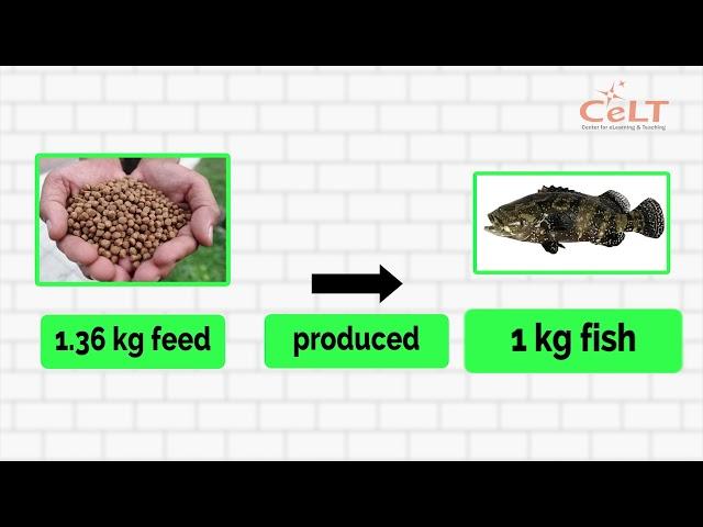 VIDEO #3 FEED CONVERSION RATIO FCR