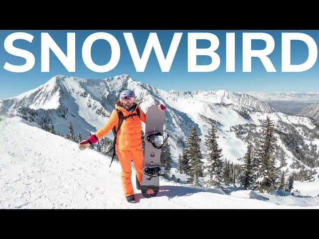 SNOWBIRD UTAH Ski Resort Steep and Deep With Awesome Views