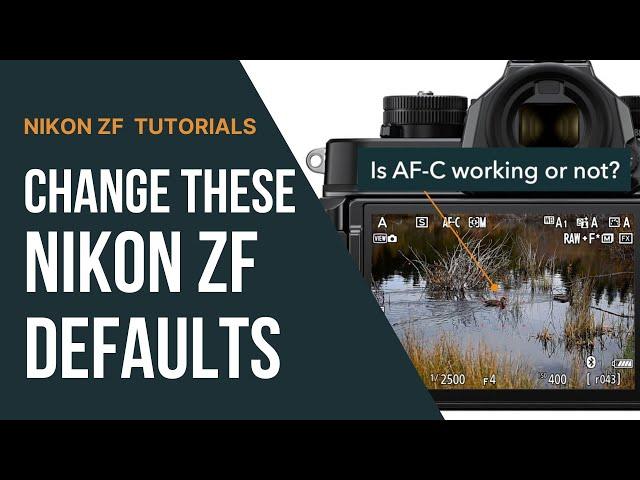 13 Nikon Zf Default Settings to Change First