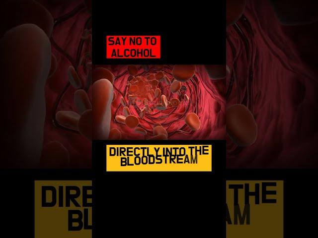 TOP 3 AWARING FACTS ABOUT ALCOHOL #factbox #3awaringfactsaboutalcohol #factsaboutalcohol #shorts