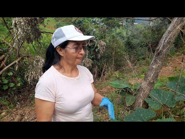 Visita huerta de Dora Muñoz