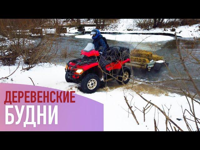 Деревенские будни. Январь. Семейная ферма.