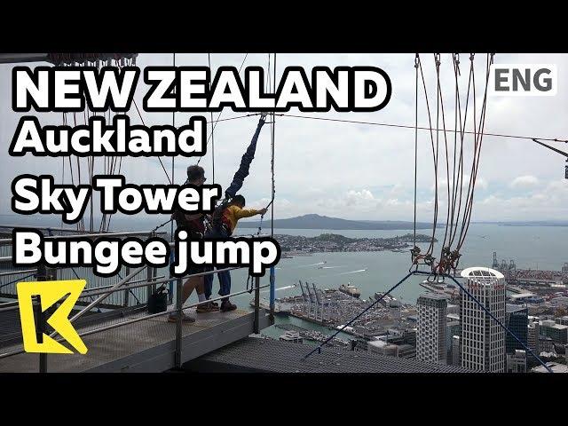 【K】New Zealand Travel-Auckland[뉴질랜드 여행-오클랜드]스카이 타워 번지점프/Sky Tower/Bungee jump/Skyswing/Sky Jump