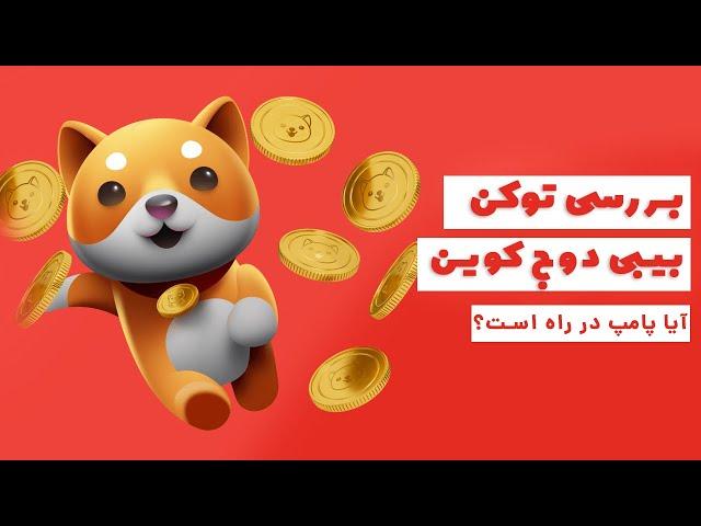 بررسی توکن بیبی دوج آیا پامپ در راه است؟!