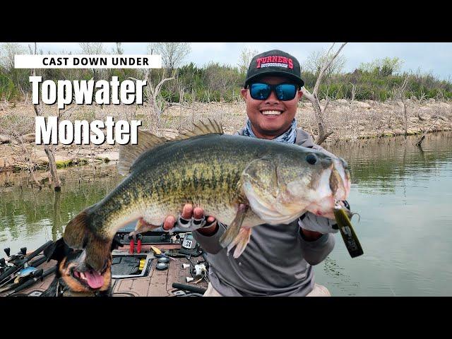 Big Bass Dreams Spotted Bass Cast Fishing Down Under Diving Popper 60g Cast to Catch 11 Pound Bass